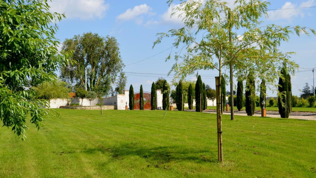 Le Coteau De Bazeille Sauna&Detente Sas Sainte-Bazeille Екстериор снимка